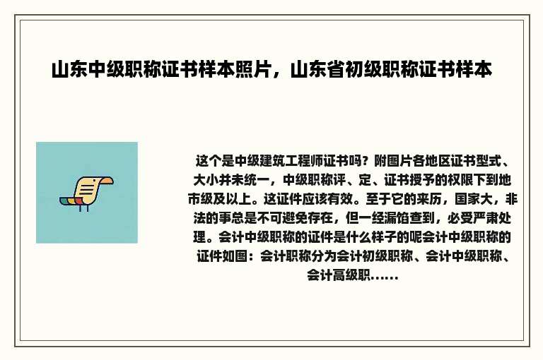 山东中级职称证书样本照片，山东省初级职称证书样本