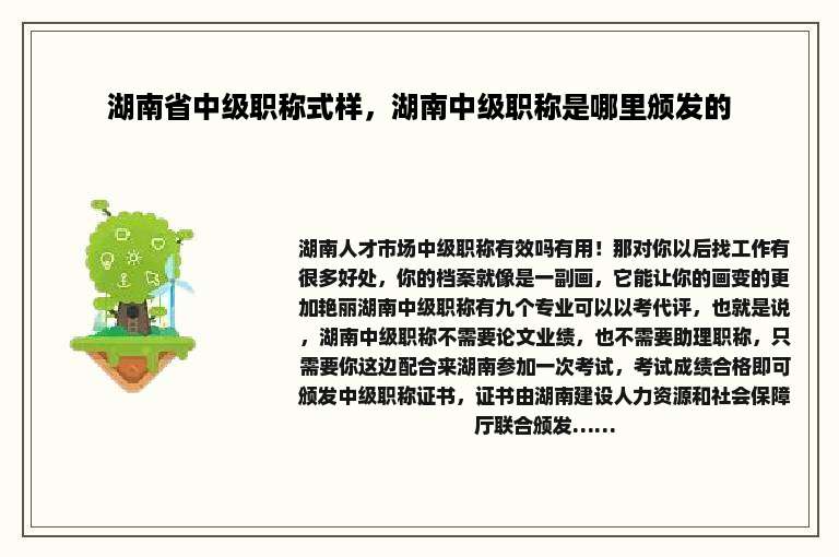 湖南省中级职称式样，湖南中级职称是哪里颁发的