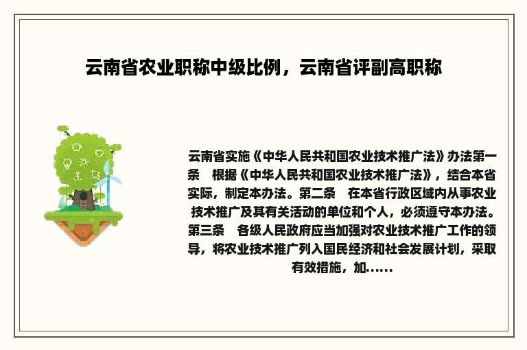 云南省农业职称中级比例，云南省评副高职称