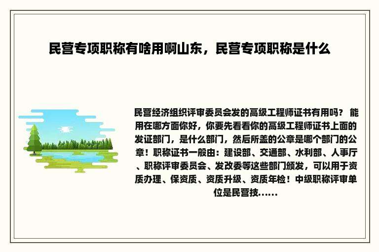 民营专项职称有啥用啊山东，民营专项职称是什么