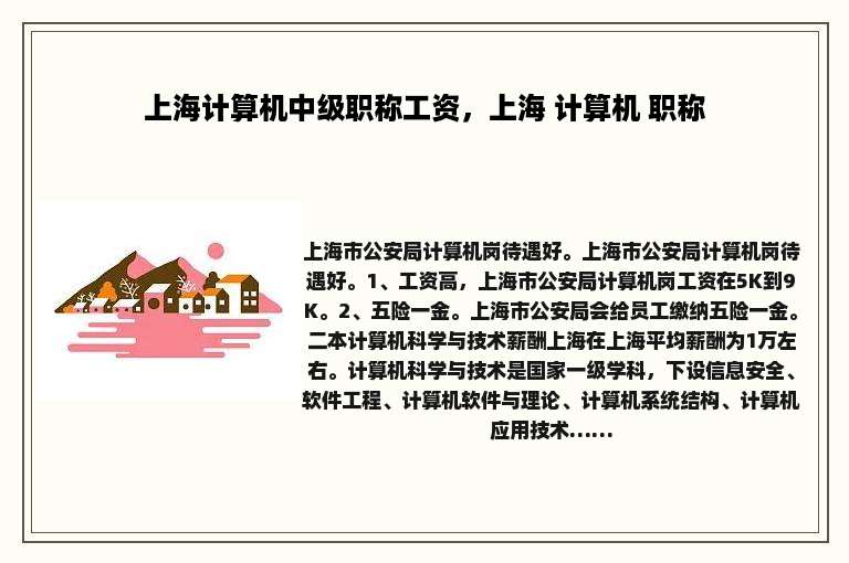 上海计算机中级职称工资，上海 计算机 职称