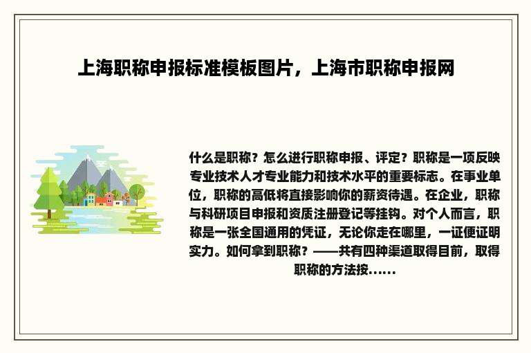 上海职称申报标准模板图片，上海市职称申报网