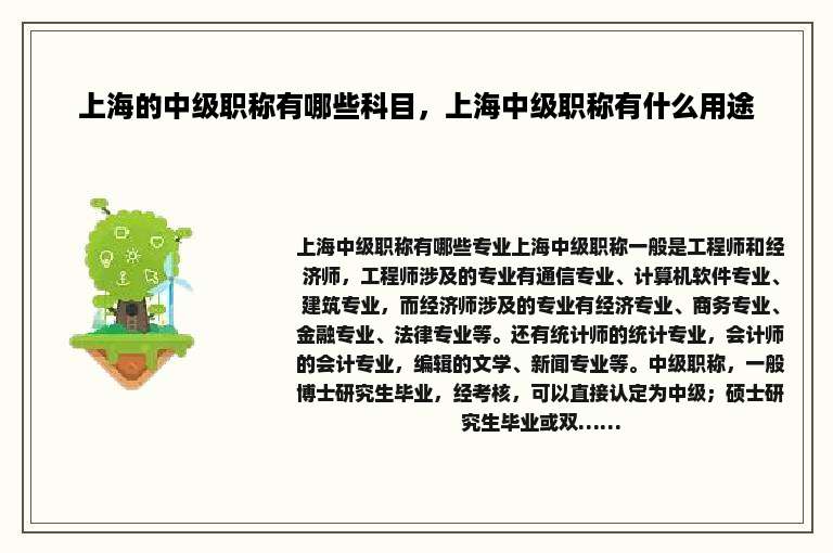 上海的中级职称有哪些科目，上海中级职称有什么用途