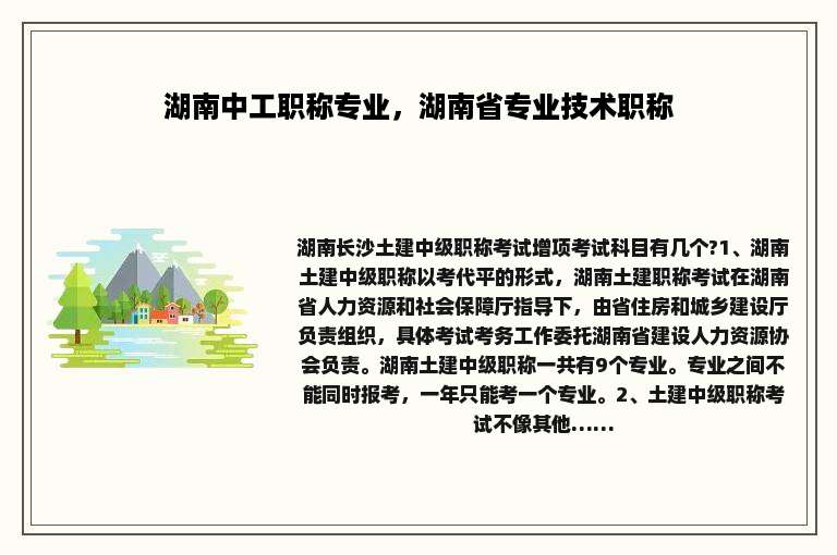 湖南中工职称专业，湖南省专业技术职称