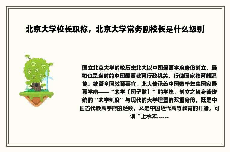 北京大学校长职称，北京大学常务副校长是什么级别