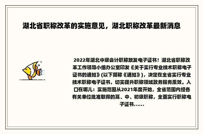 湖北省职称改革的实施意见，湖北职称改革最新消息