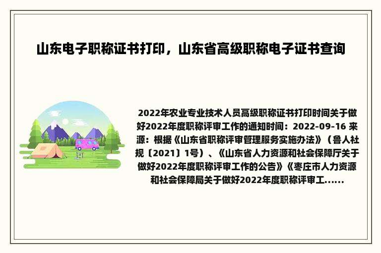 山东电子职称证书打印，山东省高级职称电子证书查询