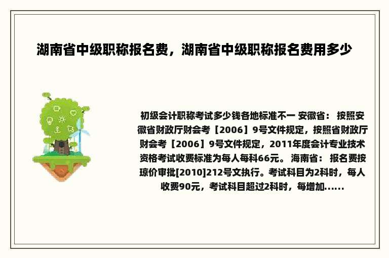 湖南省中级职称报名费，湖南省中级职称报名费用多少