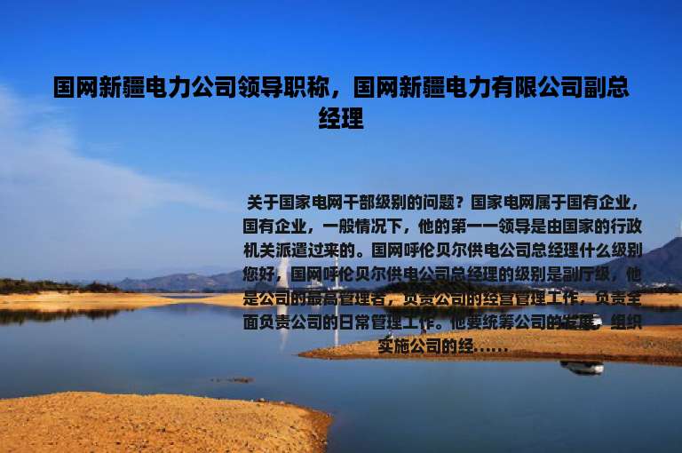 国网新疆电力公司领导职称，国网新疆电力有限公司副总经理