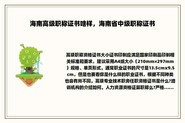 海南高级职称证书啥样，海南省中级职称证书