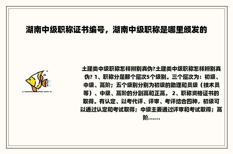湖南中级职称证书编号，湖南中级职称是哪里颁发的