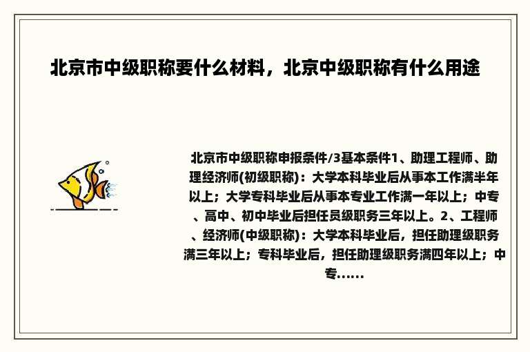 北京市中级职称要什么材料，北京中级职称有什么用途