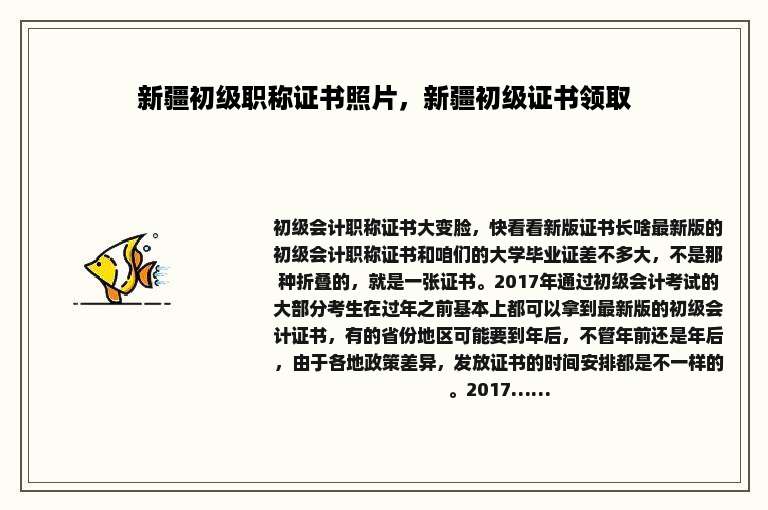 新疆初级职称证书照片，新疆初级证书领取