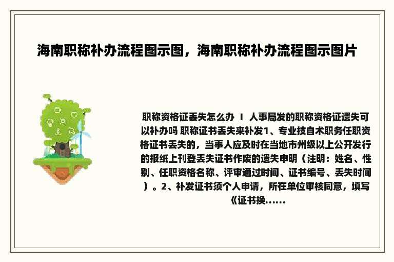 海南职称补办流程图示图，海南职称补办流程图示图片