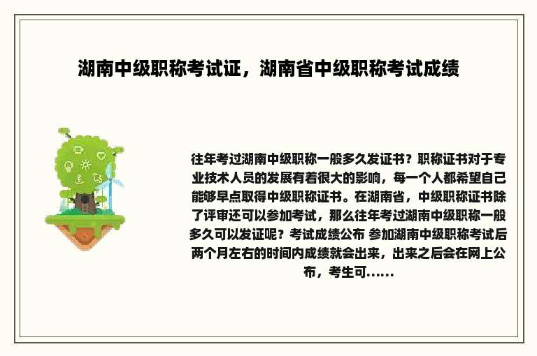 湖南中级职称考试证，湖南省中级职称考试成绩