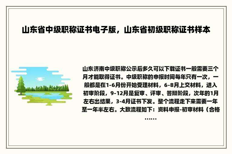 山东省中级职称证书电子版，山东省初级职称证书样本