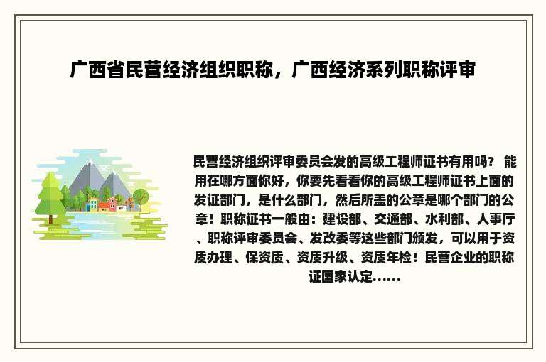 广西省民营经济组织职称，广西经济系列职称评审
