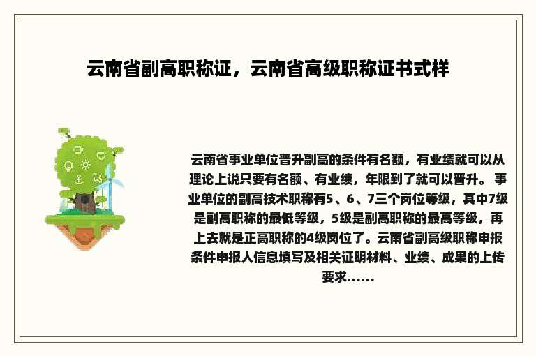 云南省副高职称证，云南省高级职称证书式样