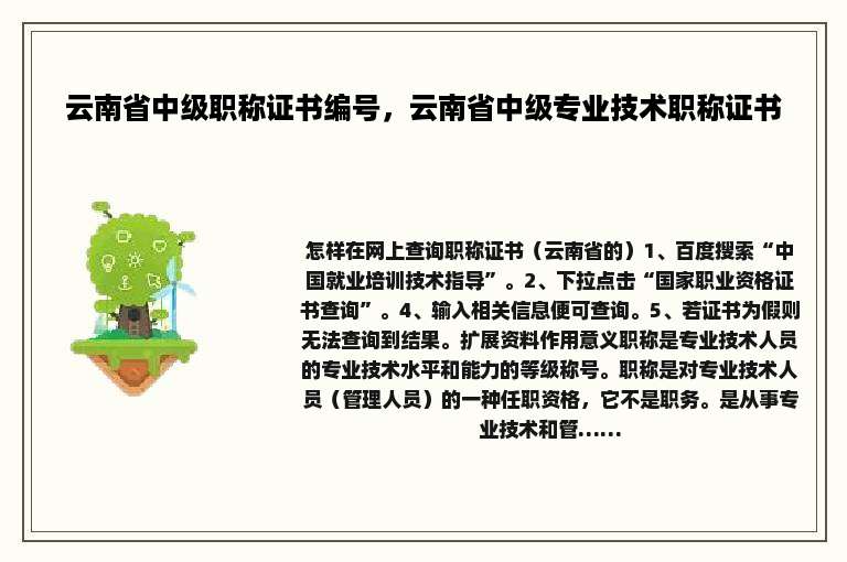 云南省中级职称证书编号，云南省中级专业技术职称证书