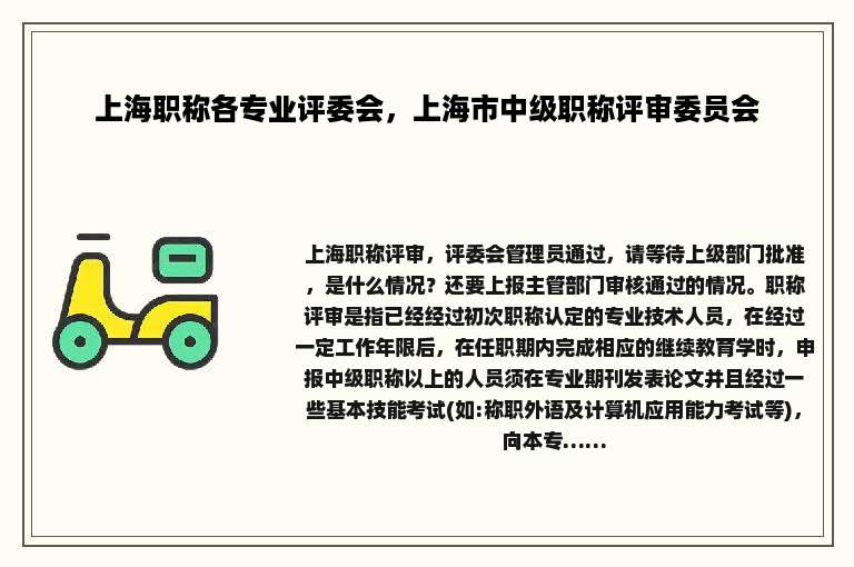 上海职称各专业评委会，上海市中级职称评审委员会