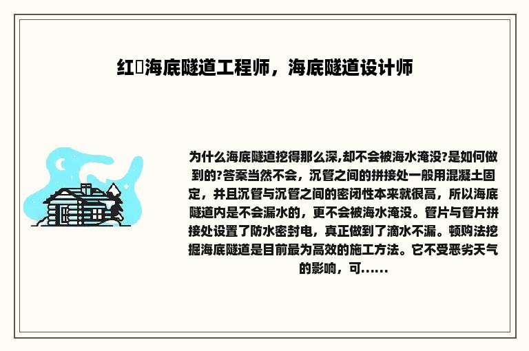 红磡海底隧道工程师，海底隧道设计师
