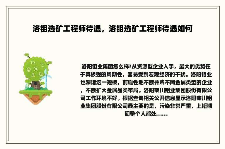 洛钼选矿工程师待遇，洛钼选矿工程师待遇如何