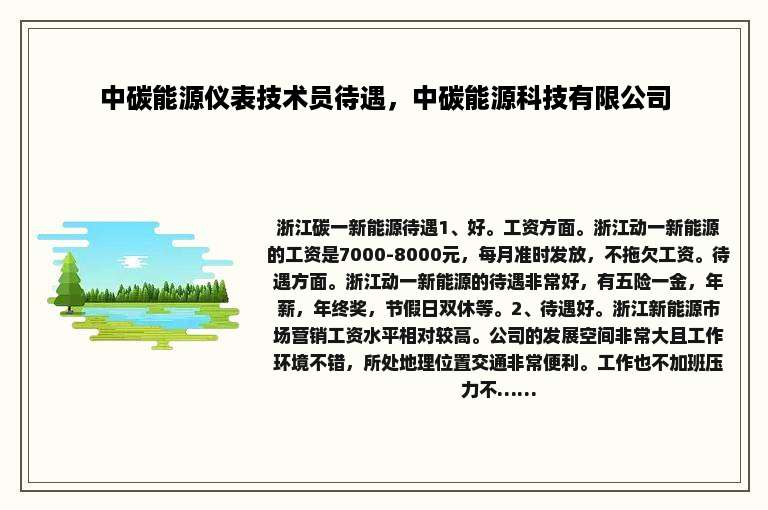 中碳能源仪表技术员待遇，中碳能源科技有限公司