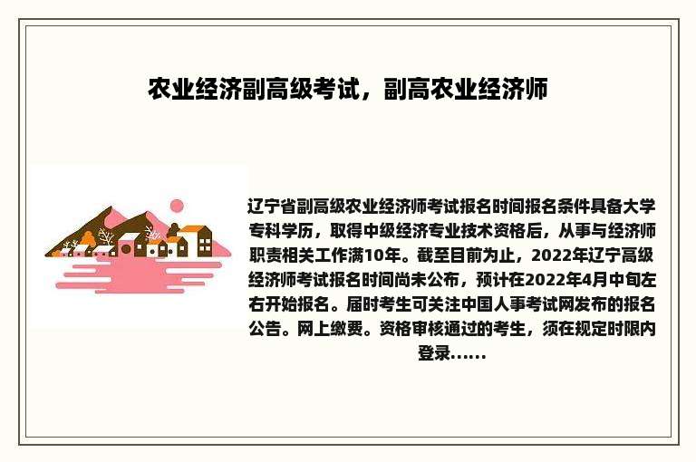 农业经济副高级考试，副高农业经济师