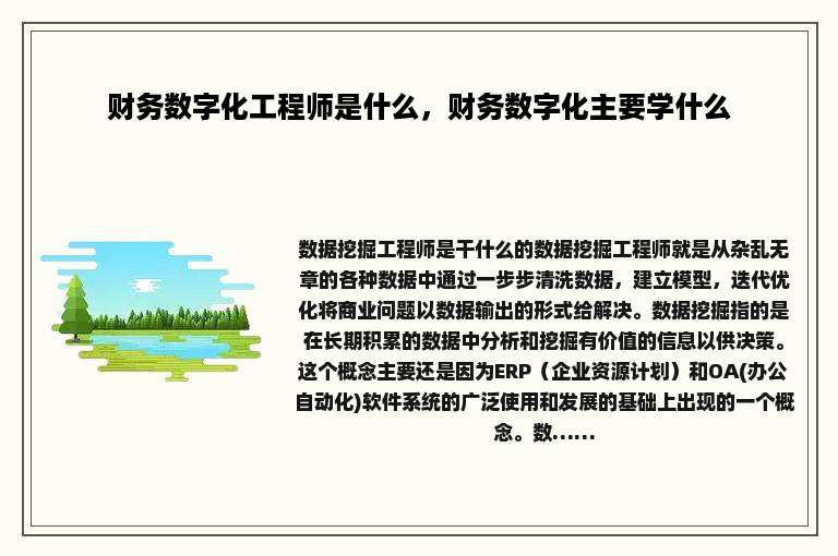 财务数字化工程师是什么，财务数字化主要学什么