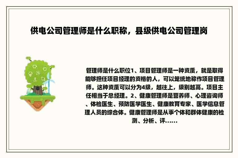 供电公司管理师是什么职称，县级供电公司管理岗