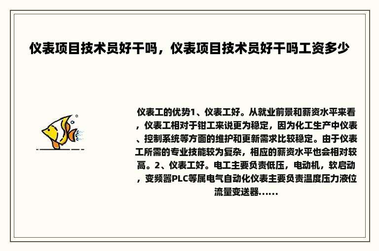 仪表项目技术员好干吗，仪表项目技术员好干吗工资多少