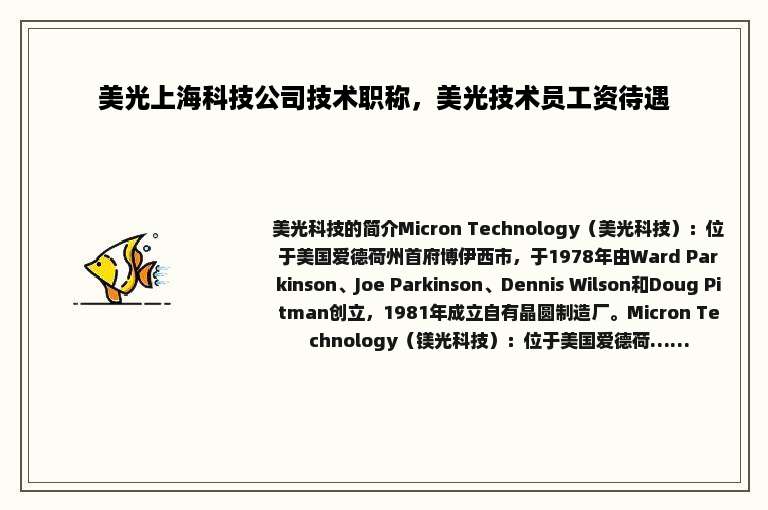 美光上海科技公司技术职称，美光技术员工资待遇