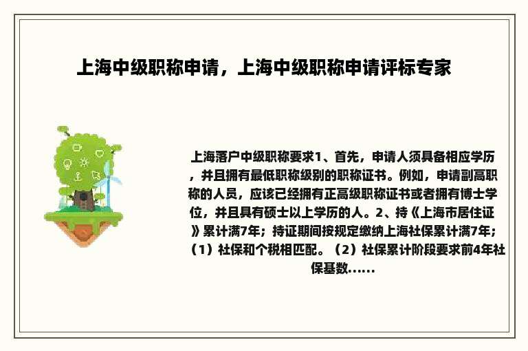 上海中级职称申请，上海中级职称申请评标专家