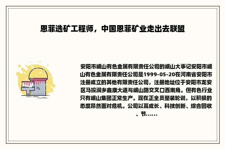 恩菲选矿工程师，中国恩菲矿业走出去联盟