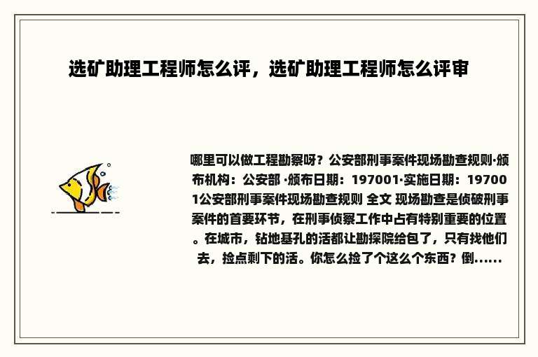 选矿助理工程师怎么评，选矿助理工程师怎么评审