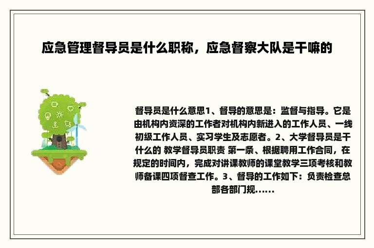 应急管理督导员是什么职称，应急督察大队是干嘛的