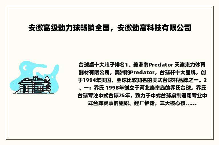 安徽高级动力球畅销全国，安徽动高科技有限公司