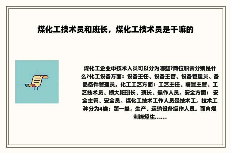 煤化工技术员和班长，煤化工技术员是干嘛的