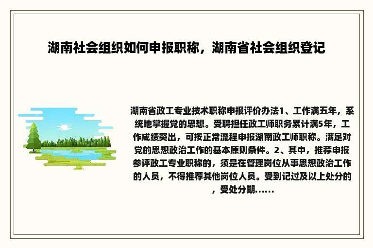 湖南社会组织如何申报职称，湖南省社会组织登记