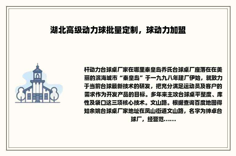 湖北高级动力球批量定制，球动力加盟