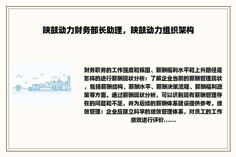 陕鼓动力财务部长助理，陕鼓动力组织架构
