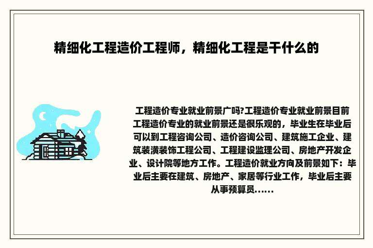 精细化工程造价工程师，精细化工程是干什么的