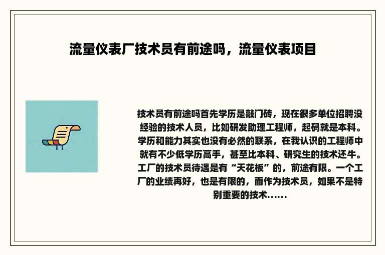 流量仪表厂技术员有前途吗，流量仪表项目