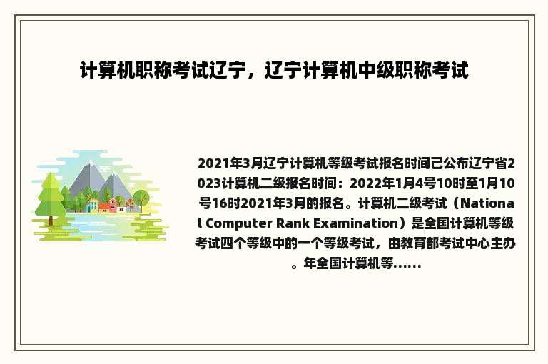 计算机职称考试辽宁，辽宁计算机中级职称考试