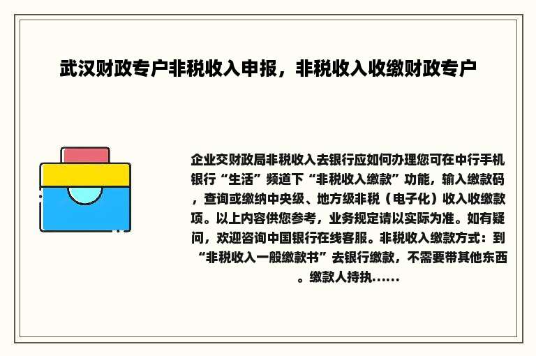 武汉财政专户非税收入申报，非税收入收缴财政专户
