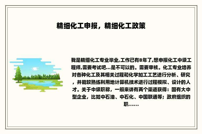 精细化工申报，精细化工政策