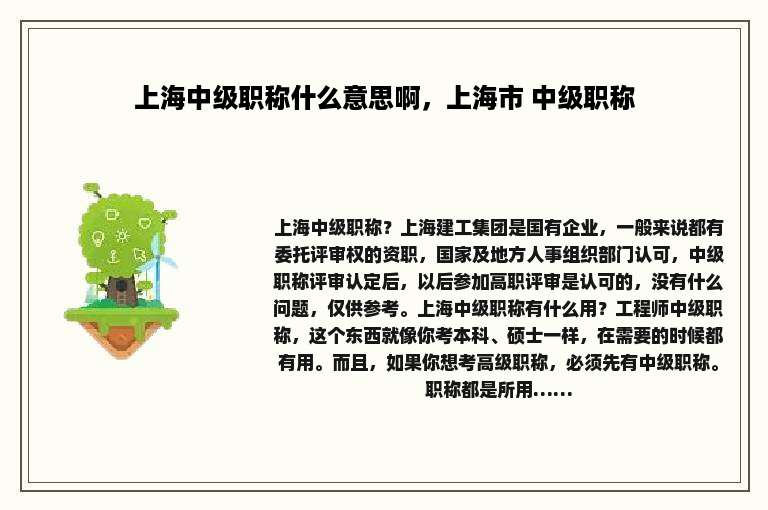 上海中级职称什么意思啊，上海市 中级职称