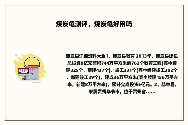 煤炭龟测评，煤炭龟好用吗