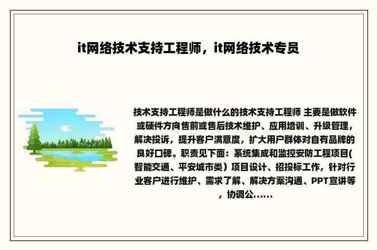 it网络技术支持工程师，it网络技术专员