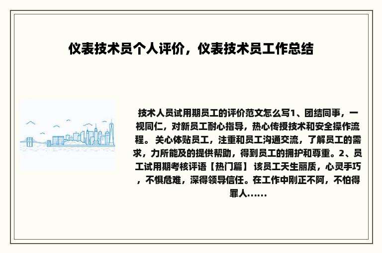仪表技术员个人评价，仪表技术员工作总结